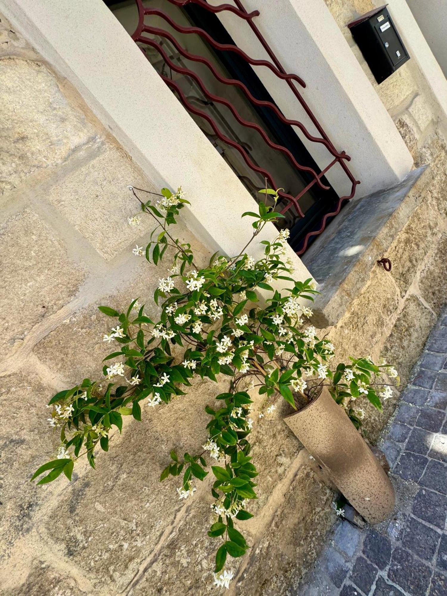 Maison De Village Renovee ! Le Grau-du-Roi Exterior foto